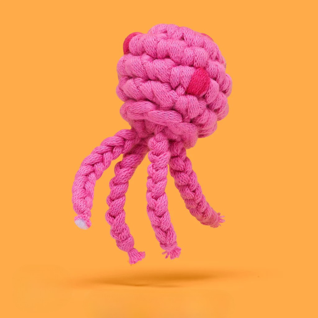 Bikini Bottom Crochet Patterns Bundle